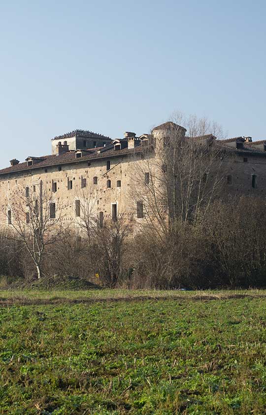casalgrasso-castello-di-carpenetta-vert