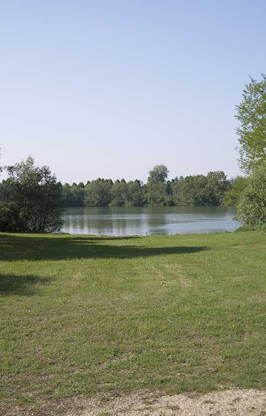 faule-parco-del-momviso-vert